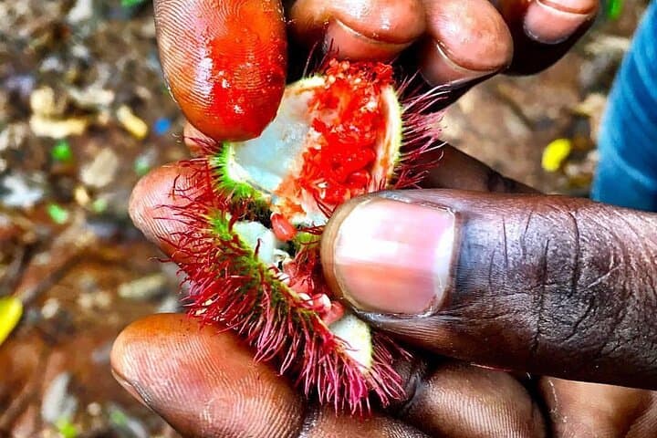 Stone Town, Spice Farm & Prison Island — Full-Day Zanzibar Cultural and Beach Excursion photo 3
