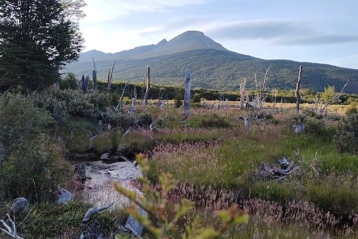 Private Ushuaia National Park Tour — Tierra del Fuego Day Trip photo 2