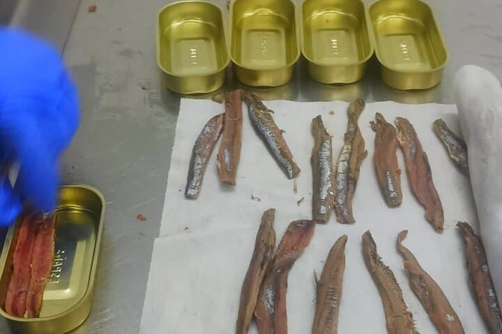 Santoña Anchovy Factory & Marshes Tour: Tasting the Cantabrian Estuary photo 3