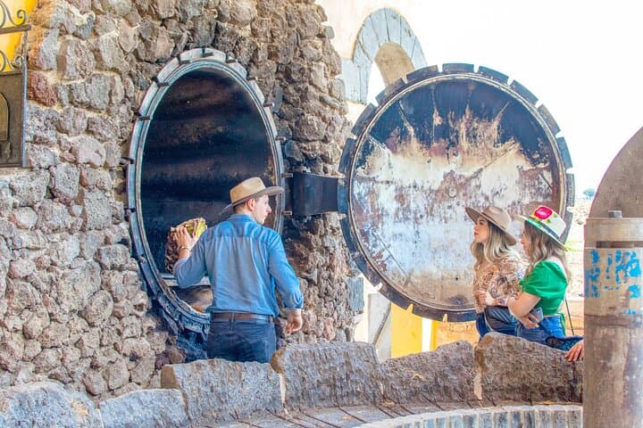 Agave Experience Tequila Tour in Tequila, Jalisco — VIP Tastings & Distillery Visits photo 2