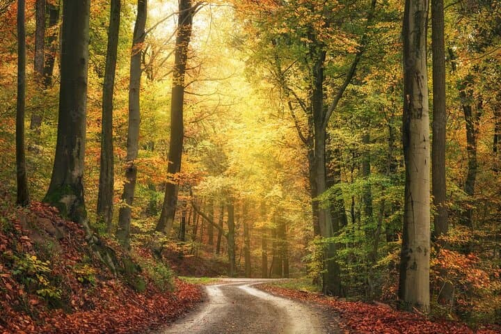 Serra da Estrela Nature and Adventure Private Tour from Lisbon photo 3