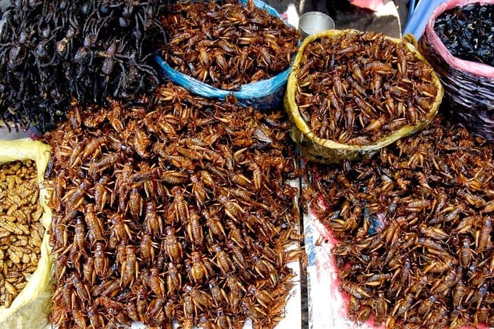 Phnom Penh to Siem Reap Scenic Transfer: Skun Spider Market, Kampong Kdei & Local Flavors photo 2
