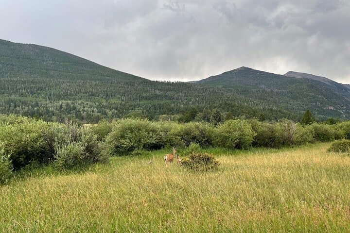 Discover Denver: 4-Hour Private City Tour with Hotel or Airport Transfer photo 3