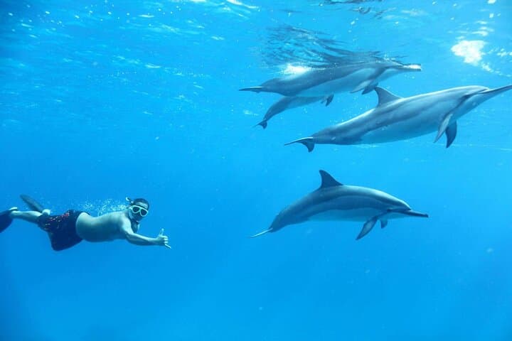 Private Red Sea Snorkeling Trip from Hurghada with Lunch & Hotel Pickup photo 4