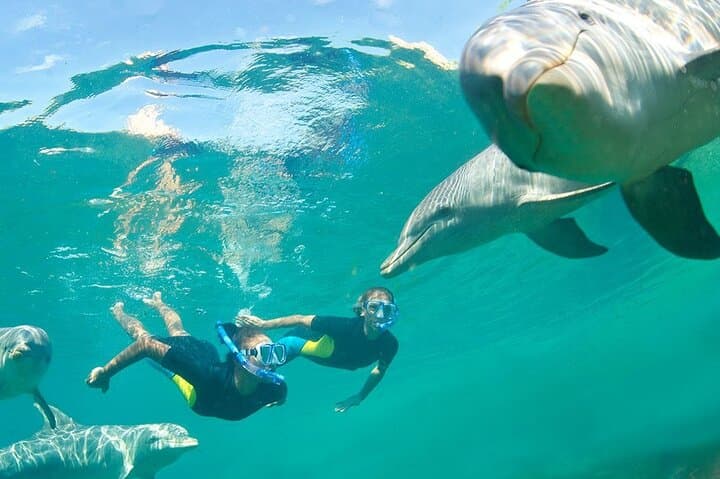 Hurghada Dolphin House: Full-Day Snorkel & Wild Dolphin Watching in the Red Sea photo 4