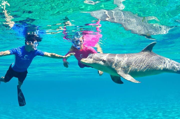 Private Red Sea Snorkeling Trip from Hurghada with Lunch & Hotel Pickup photo 5