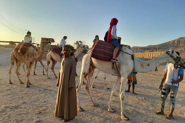 Camel Riding in Luxor West Bank: Sunrise, Sunset & Desert Tea Tours photo 2