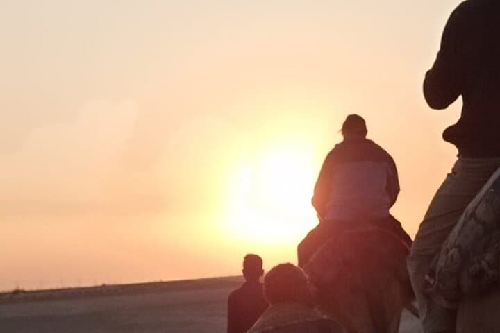 Camel Riding in Luxor West Bank: Sunrise, Sunset & Desert Tea Tours photo 4