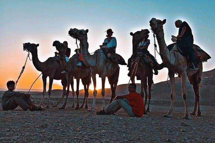 Camel Riding in Luxor West Bank: Sunrise, Sunset & Desert Tea Tours