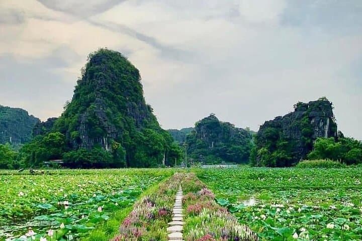 Day Trip to Ninh Binh: Hoa Lu, Trang An Sampan & Mua Cave Viewpoint photo 4