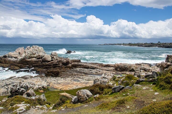Hermanus Whale Watching Private Tour: Southern Right Whale Boat & Cliff Path Experience photo 3