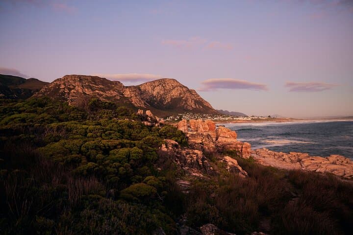 Hermanus Whale Watching Private Tour: Southern Right Whale Boat & Cliff Path Experience photo 5