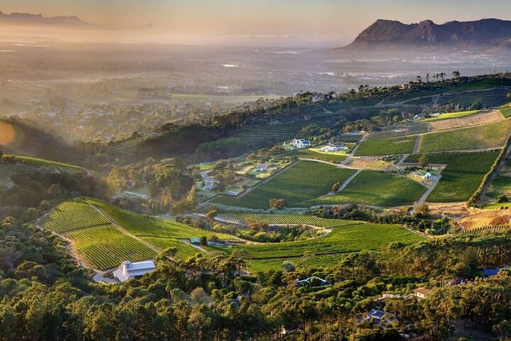 Constantia Wine Tour: Groot Constantia, Constantia Glen & Beau Constantia Tasting Day