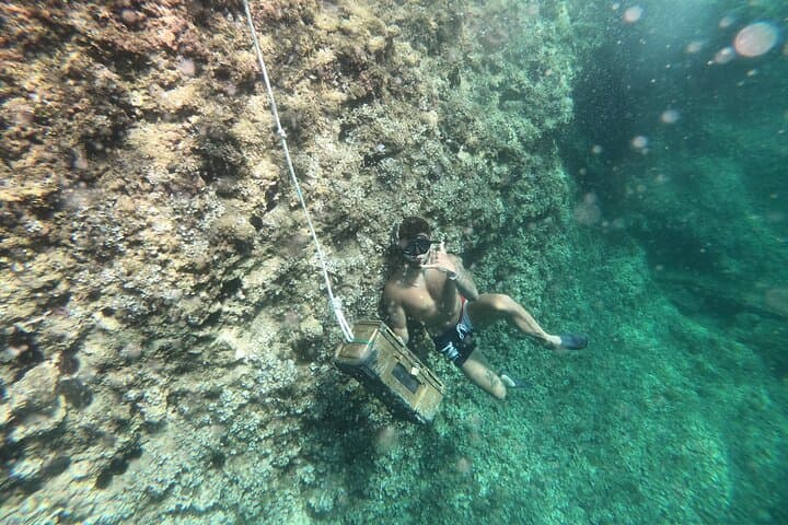 Mallorca Multiadventure: Kayak Caves, Cliff Jumping & Snorkel Tour photo 5