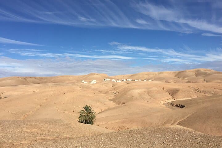 Agafay Desert Sunset: Camel Ride and Moroccan Dinner from Marrakech photo 6