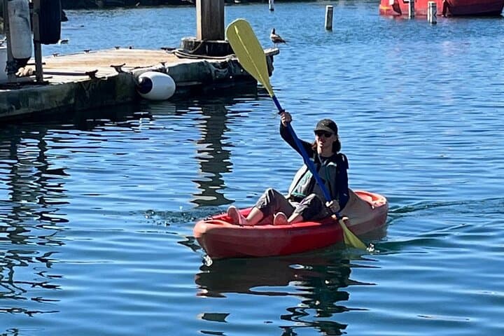 Explore Redondo Beach Harbor by Kayak — Paddle with Sea Lions and Harbor Views photo 4