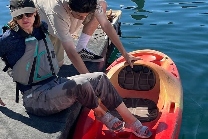 Explore Redondo Beach Harbor by Kayak — Paddle with Sea Lions and Harbor Views photo 5
