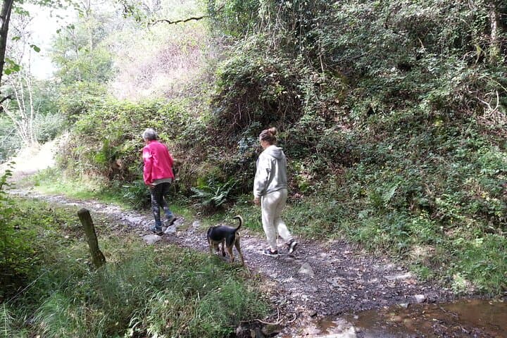 Forest Meditation Walk Near Paris — Walking Meditation Workshop