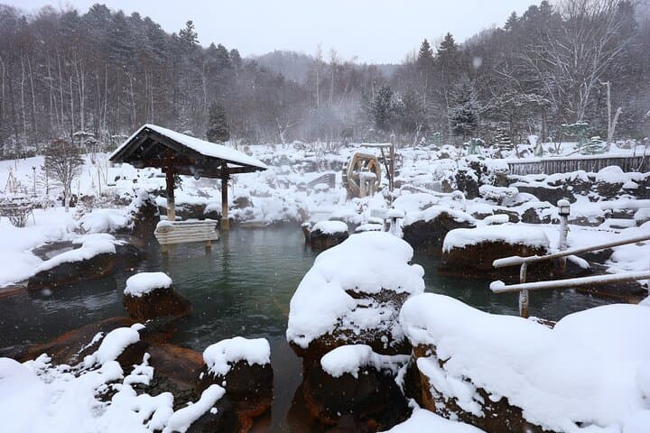 Hoheikyo Onsen Snow Soak with Private Transfer from Sapporo