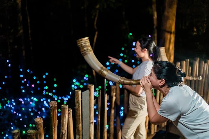 Night Walk Through Dream Forest Langkawi: Immersive Myth & Rainforest Light Trail photo 3