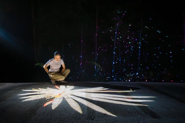 Night Walk Through Dream Forest Langkawi: Immersive Myth & Rainforest Light Trail