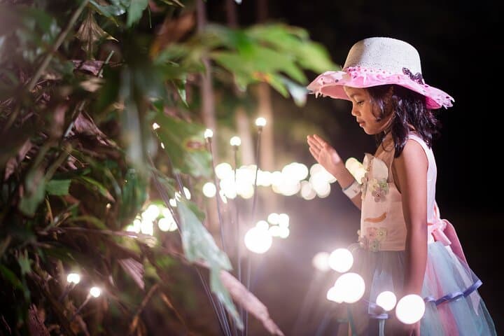 Night Walk Through Dream Forest Langkawi: Immersive Myth & Rainforest Light Trail photo 2