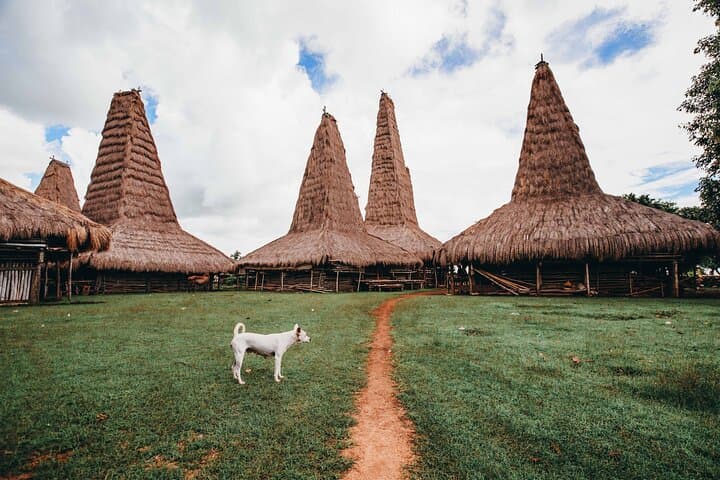 3-Day Sumba Explorer: Weekuri Lake, Ratenggaro & Cultural Villages photo 1