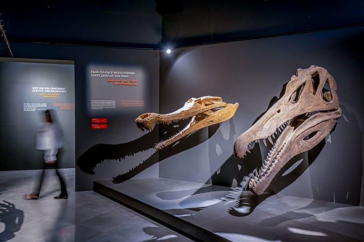 Visiting Dubai Crocodile Park: Nile Crocodiles, Aquarium & Family-Friendly Exhibits photo 2