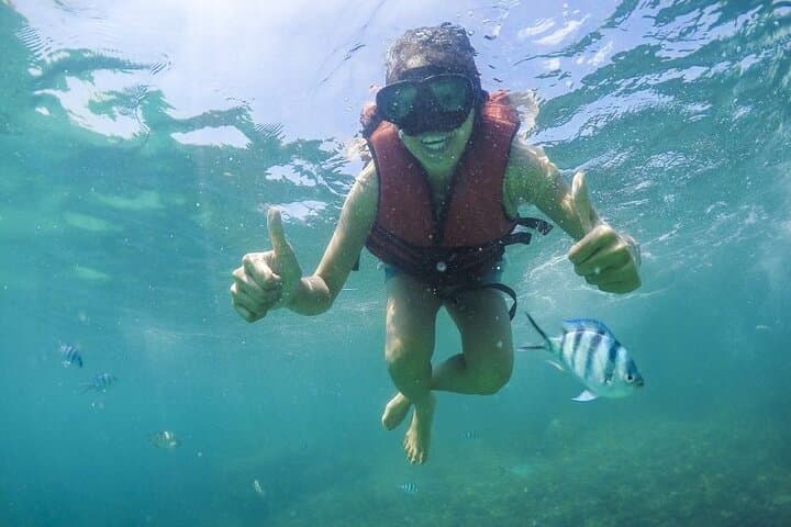 Koh Samui Pig Island & Koh Tan Snorkel Speedboat Tour photo 4