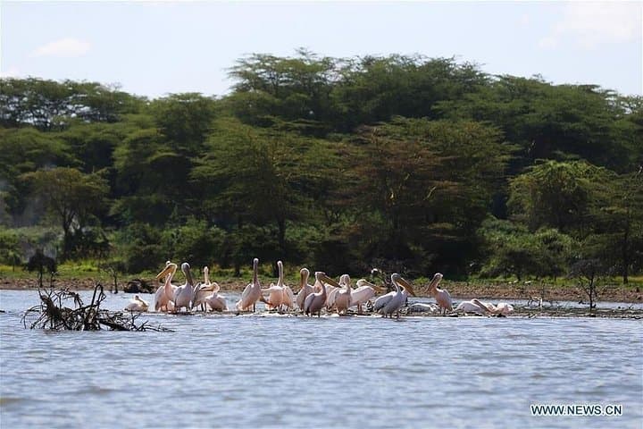 Hell’s Gate & Lake Naivasha: 1-Day Bike and Boat Adventure from Nairobi photo 6