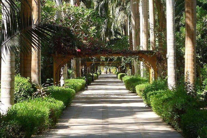 Aswan Botanical Garden & Nubian Village Tour with Nile Camel Ride photo 4