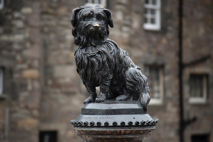 Edinburgh Private Walking Tour in Spanish — Old Town History, Greyfriars & Hidden Stories photo 5