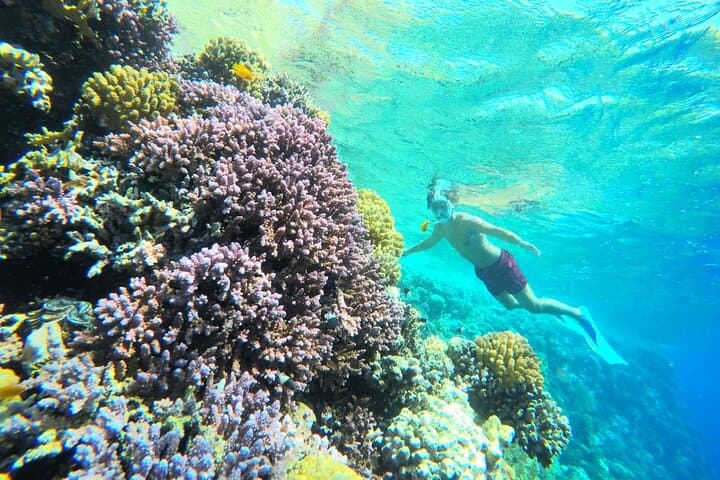 Hurghada Speedboat Snorkel and Inflatable Ride Combo photo 6