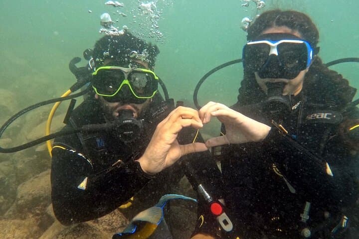 Discovery Scuba Diving at La Mer Beach Dubai: Beginner 3‑Hour Dive with Turtles photo 2
