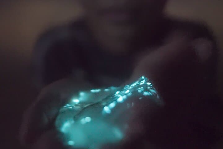 Night Kayak Through Florida's Bioluminescent Lagoon photo 2