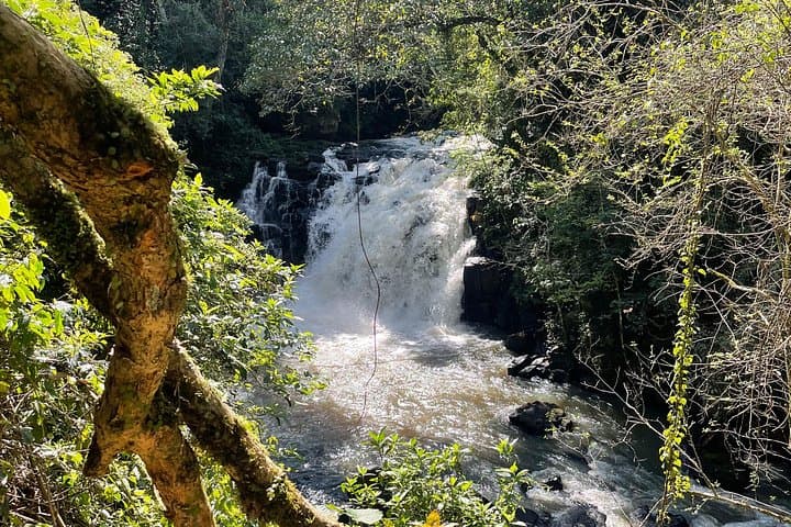 Pedal to the Backyard Waterfall — Foz do Iguaçu Bike & Swim Tour