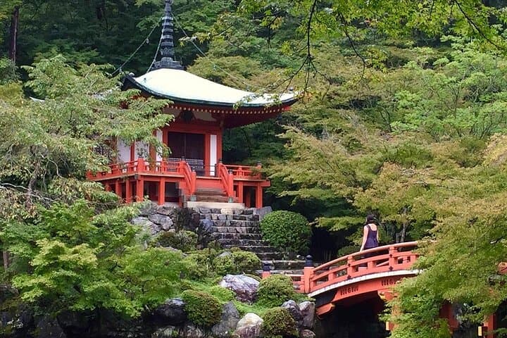 Full-Day Kyoto & Uji Cultural Tour — Kinkakuji, Arashiyama & Fushimi Inari photo 5