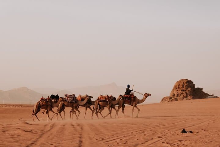 Two-Day Private Petra and Wadi Rum Tour from Amman — Petra, Wadi Rum & Dead Sea Highlights photo 6