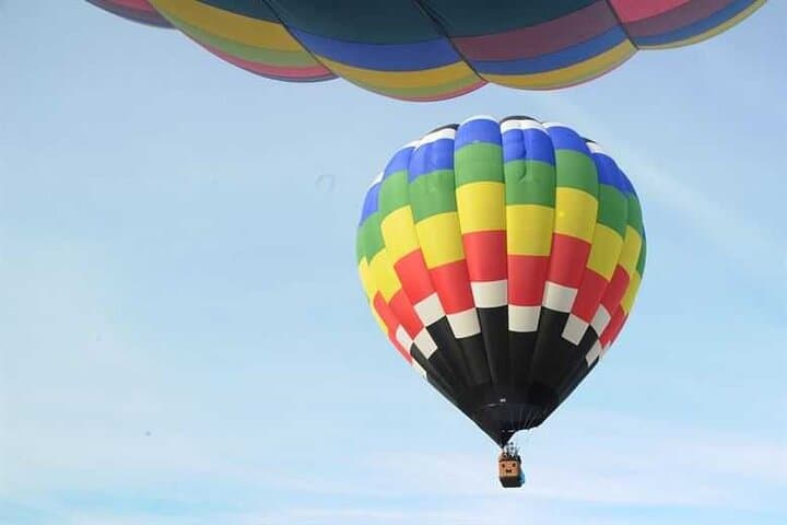 Sunrise Hot Air Balloon Over the Dubai Desert: Wildlife & Dune Views photo 3