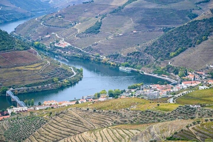 Private Half-Day Douro Tour: Wine Tasting, River Views & Boat Ride from Porto photo 2