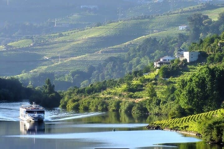 Private Half-Day Douro Tour: Wine Tasting, River Views & Boat Ride from Porto photo 3