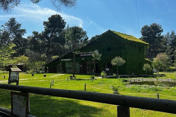 Berat and Karavasta Lagoon Day Trip: Ottoman Hills to Mediterranean Wetlands photo 1