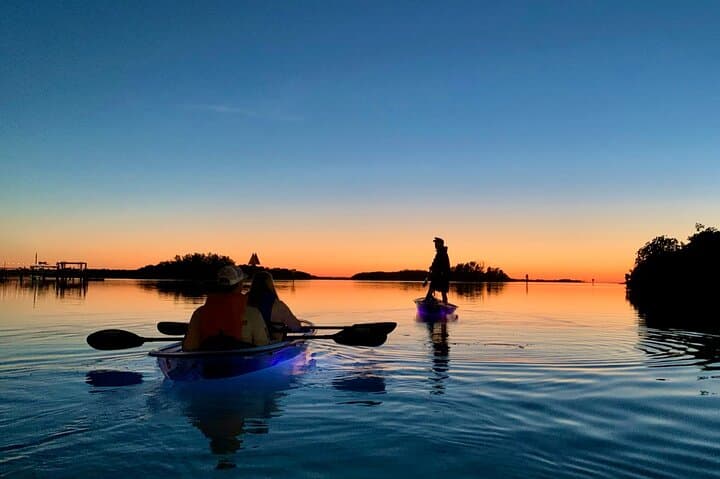Shell Key Clear Kayak Glow Tours: Sunset & Night Paddle in Madeira Beach photo 4