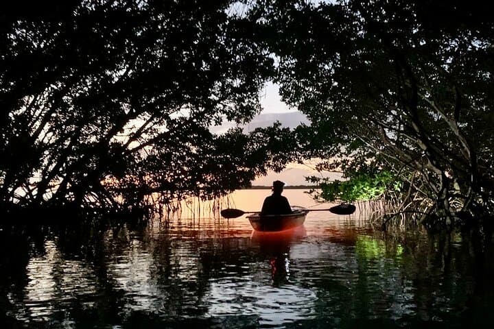 Shell Key Clear Kayak Glow Tours: Sunset & Night Paddle in Madeira Beach photo 6