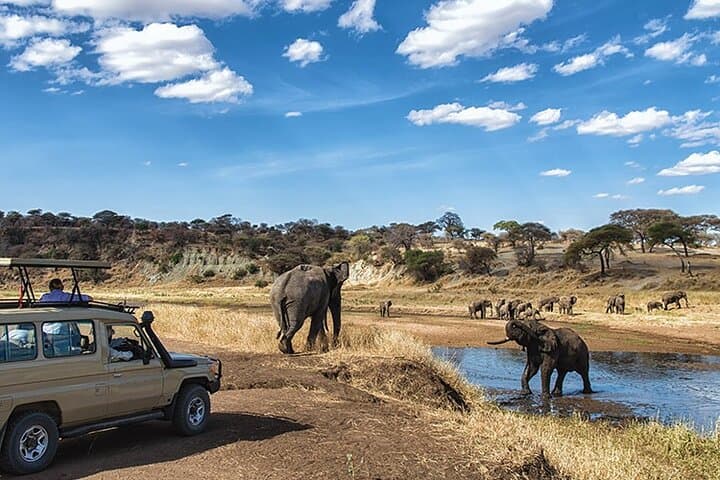 14-Day Kenya and Tanzania Big 5 Safari from Nairobi — Maasai Mara to Serengeti photo 2