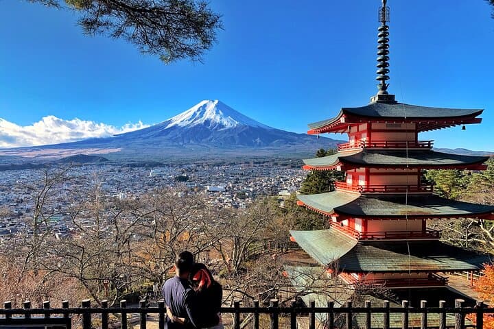 Mt. Fuji & Hakone Private Day Tour from Tokyo: 5th Station, Lake Ashi, Ropeway and Chureito Pagoda photo 6