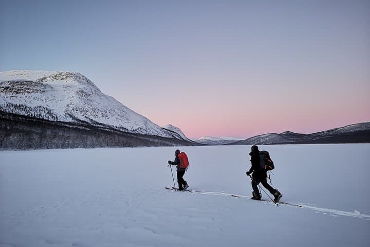 Ski Touring in Ammarnäs: Guided Day Tours in Vindelfjällen Nature Reserve
