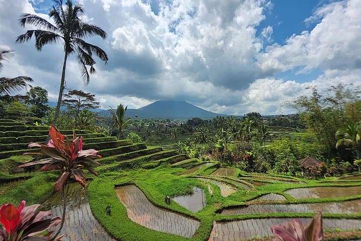 Off-Road Bali: Jatiluwih Rice Terraces & Mount Batukaru 4WD Adventure photo 2