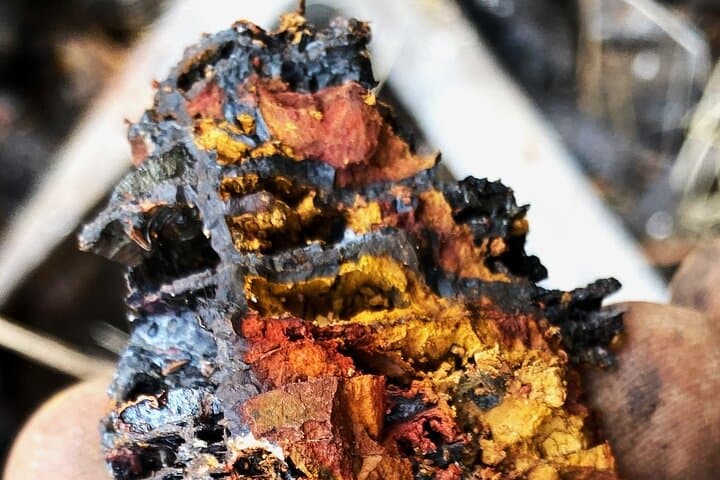 Private Mineral-Collecting Tour in Bulgaria's Abandoned Quarry photo 2