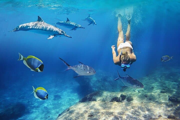 Full-Day Catamaran Cruise to Coin de Mire: Snorkel Ile Plate & Ilot Gabriel from Grand Baie photo 4